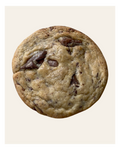 Chewy Dark Chocolate Cookies